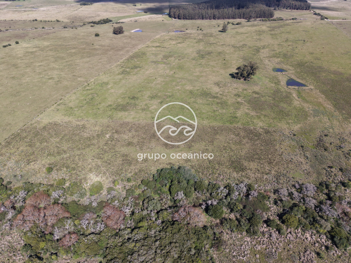 Campo Ref.2 - Campo de 50 hectáreas en Rincón de José Ignacio