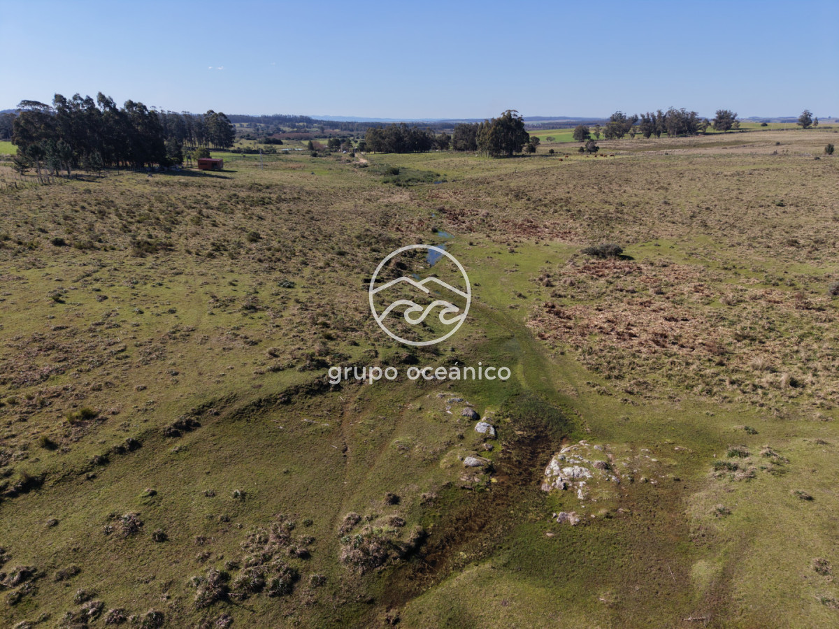 Campo Ref.81 - Campo Paso del Tigre con Cabaña