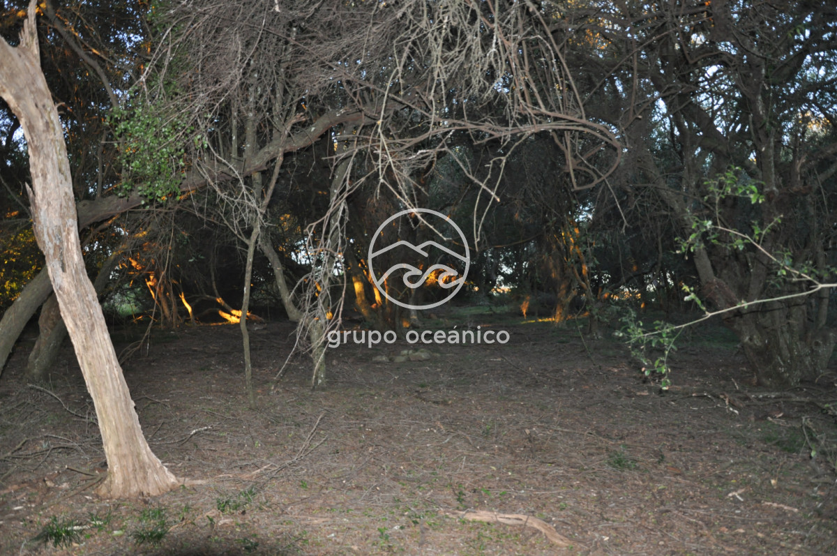 Campo Ref.4 - P 20673 Ruta 9 José Ignacio