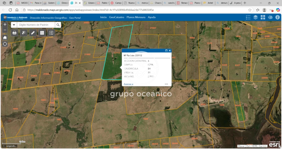 Campo Ref.2 - Campo de 50 hectáreas en Rincón de José Ignacio