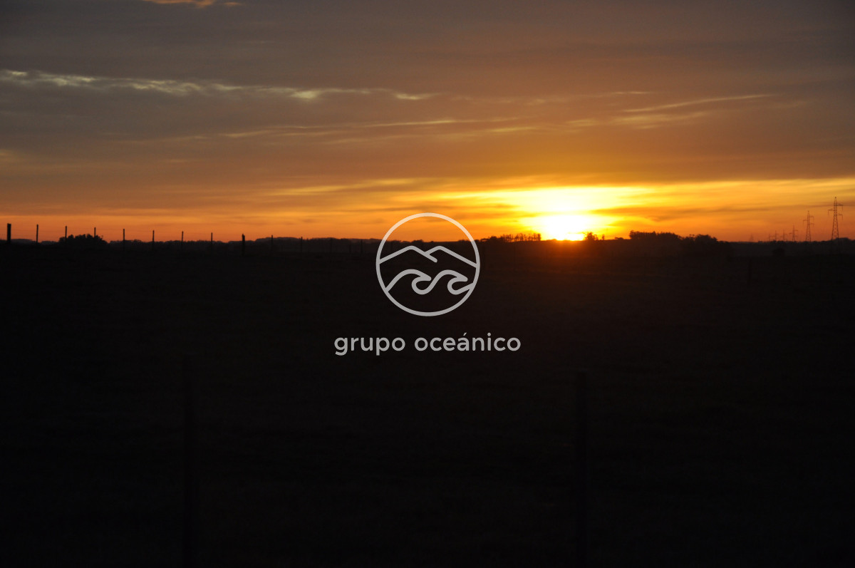 Campo Ref.3 - Campo de 39 hectáreas en Rincón de José Ignacio