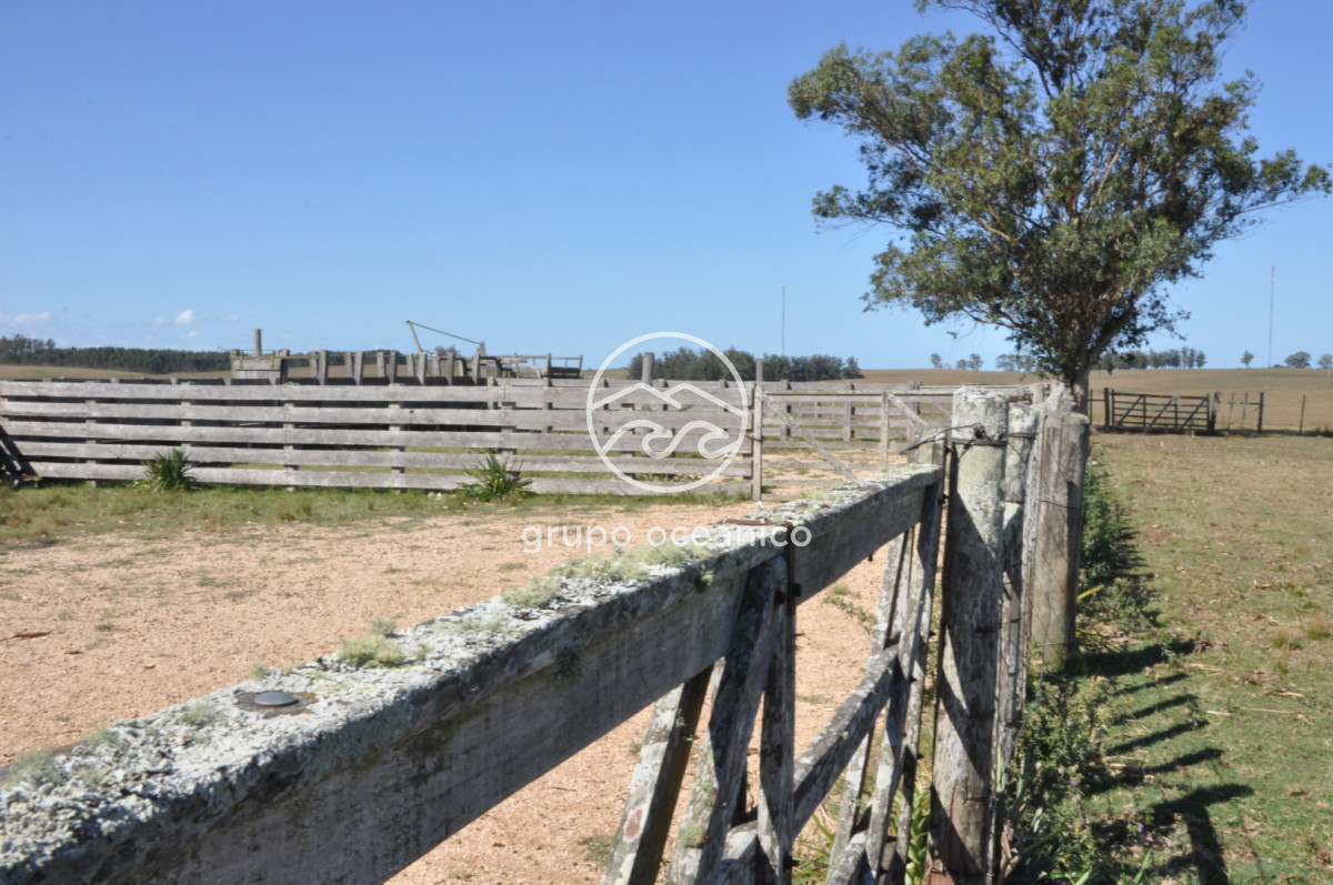 Campo Ref.44 - Campo con instalaciones y casas en Ruta 9 y camino Anastasio