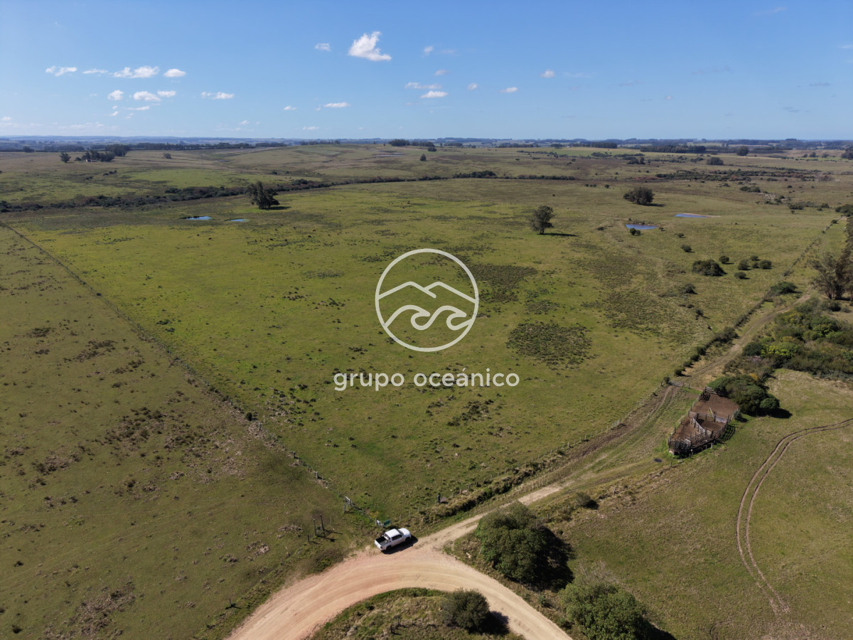 Campo Ref.2 - Campo de 50 hectáreas en Rincón de José Ignacio