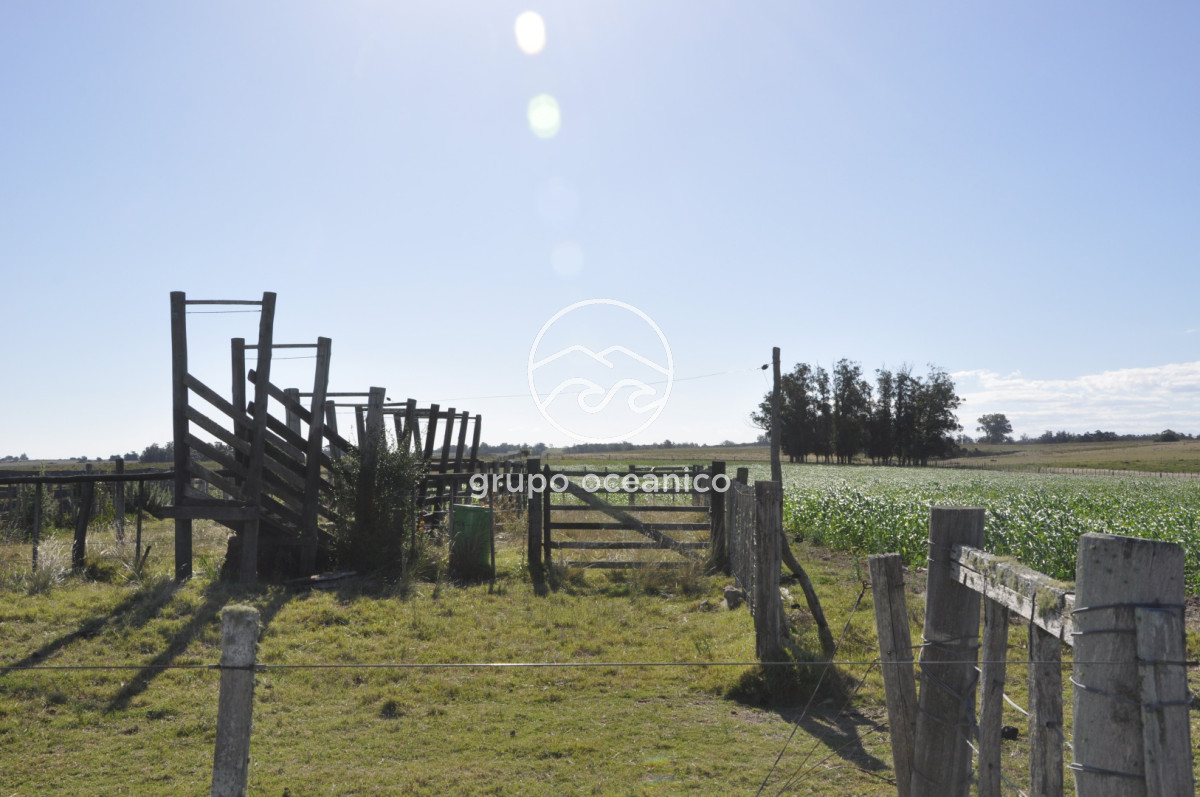 Campo Ref.18 - Campo en camino vecinal y Ruta 9 Zona Bodega Oceánica