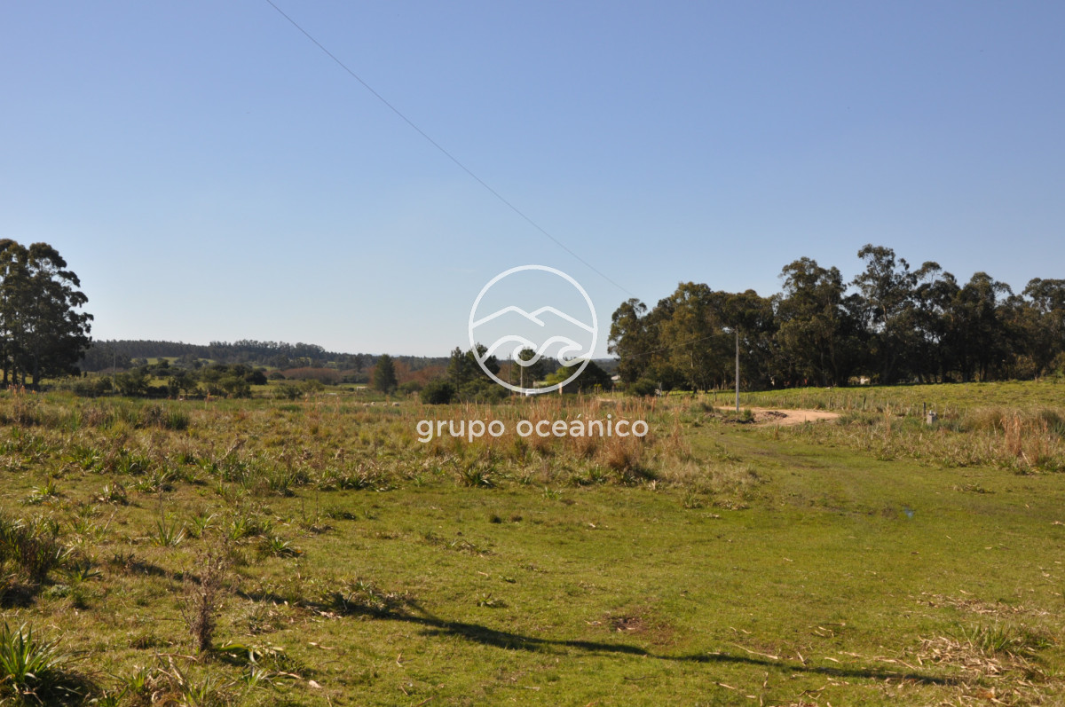 Campo Ref.81 - Campo Paso del Tigre con Cabaña