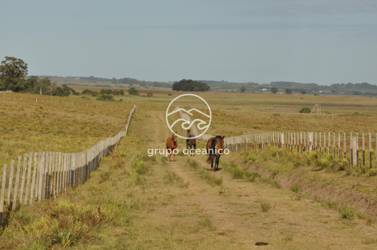 Campo Ref.41 - Campo a orillas de la Laguna de José Ignacio