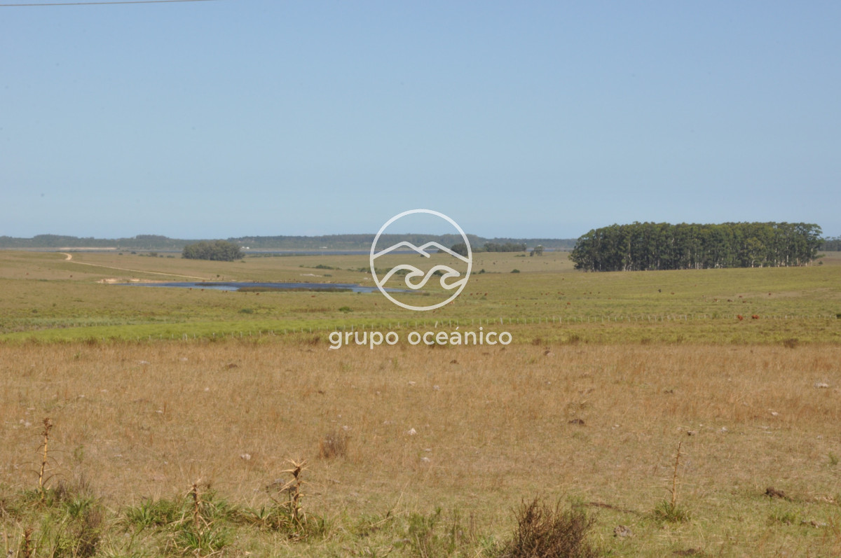 Campo Ref.44 - Campo con instalaciones y casas en Ruta 9 y camino Anastasio