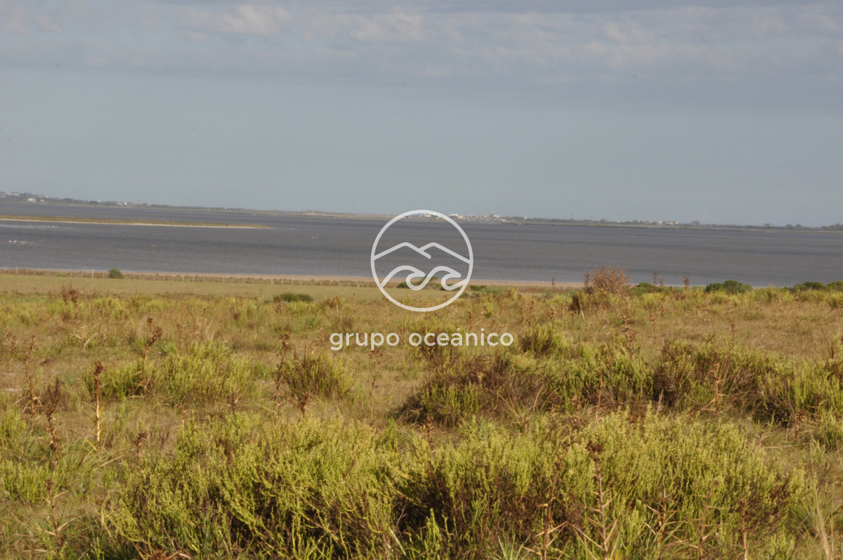 Campo Ref.41 - Campo a orillas de la Laguna de José Ignacio
