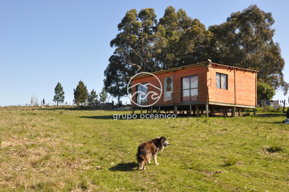 Campo Ref.81 - Campo Paso del Tigre con Cabaña