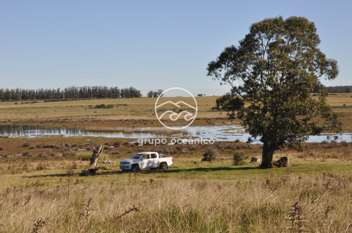 Campo Ref.88 - Campo 91 há sobre Laguna de José Ignacio