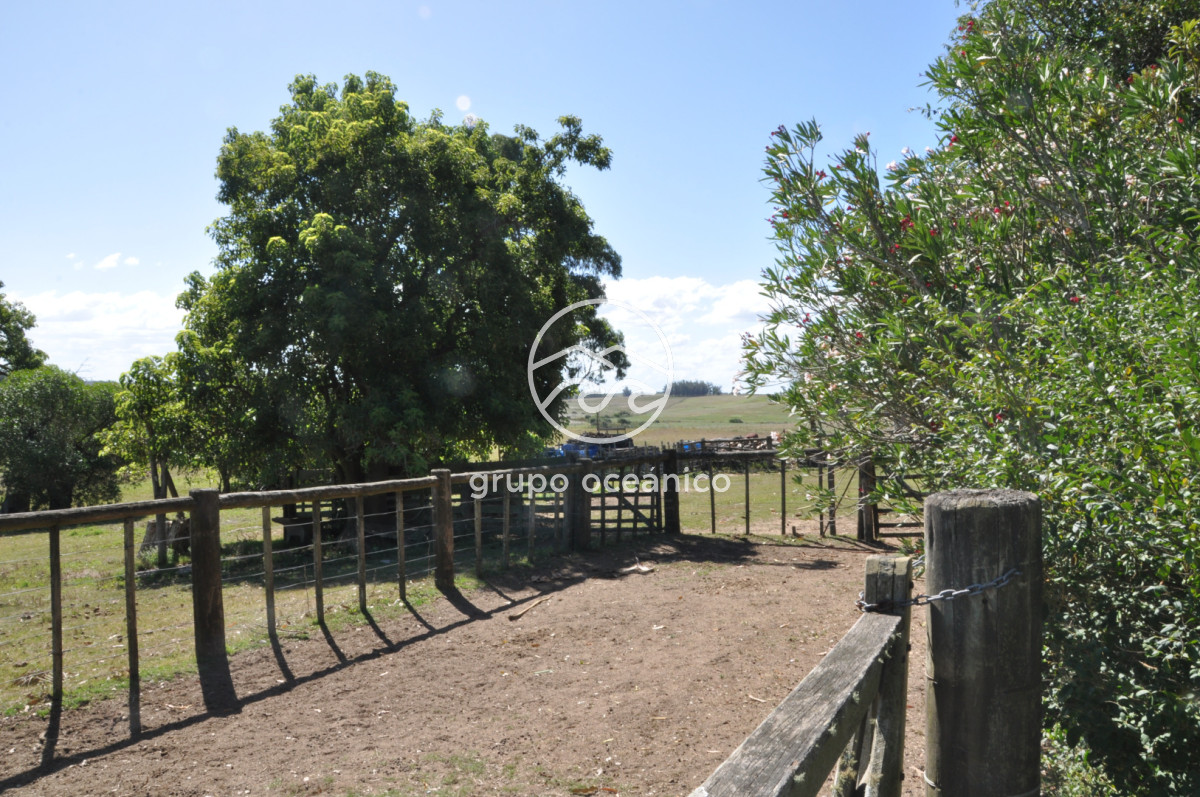 Campo Ref.44 - Campo con instalaciones y casas en Ruta 9 y camino Anastasio