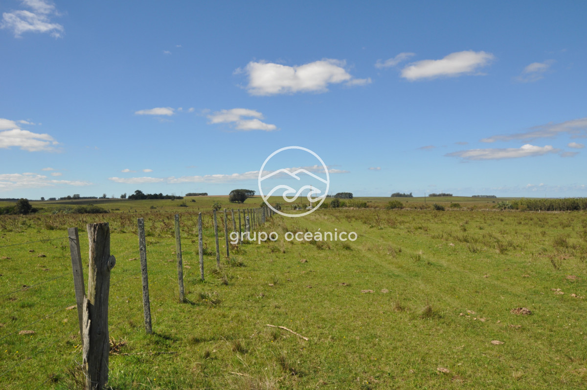 Campo Ref.53 - Campo Rocha Ruta 9 Km 196