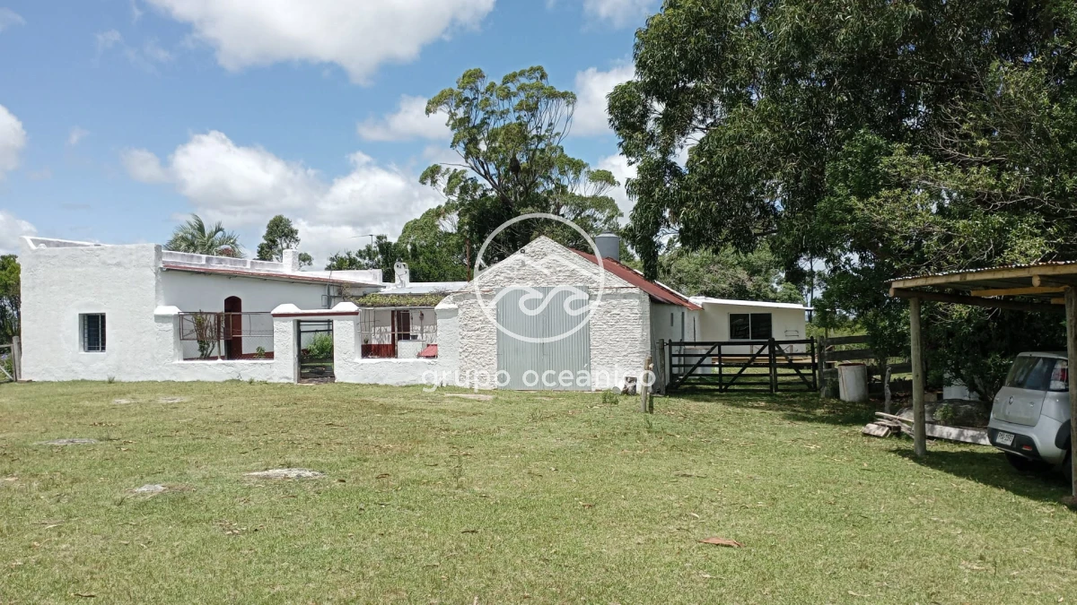 Campo Ref.8 - Campo 77 hectáreas en Ruta 39