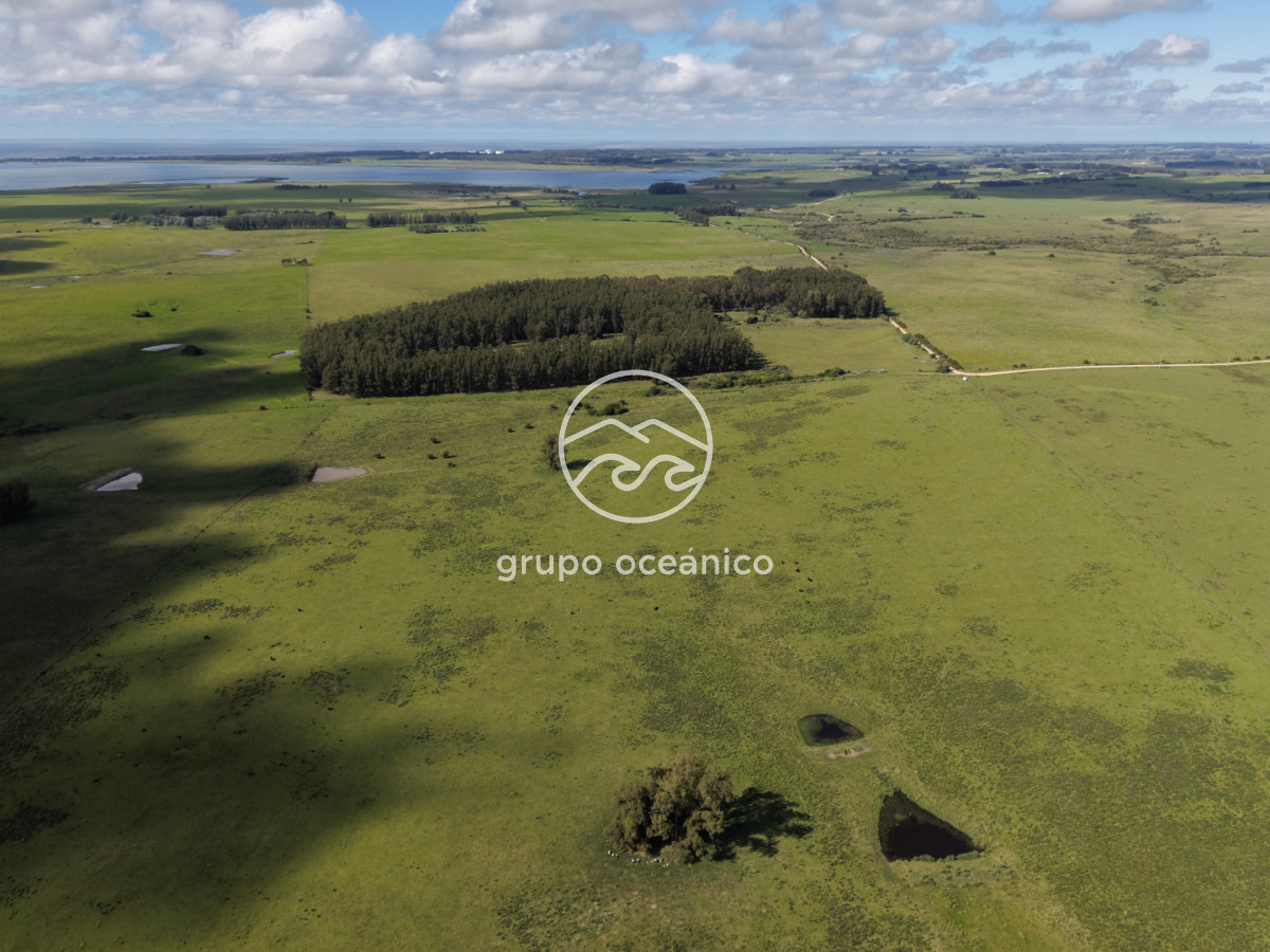 Campo Ref.2 - Campo de 50 hectáreas en Rincón de José Ignacio