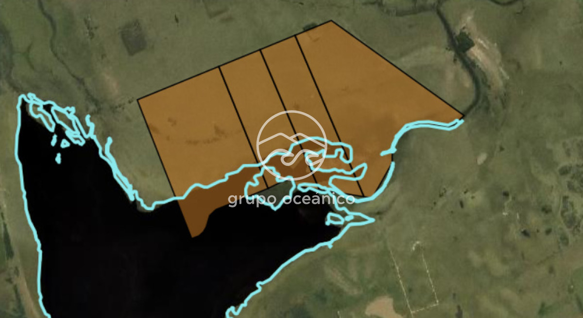 Campo Ref.89 - Campo 280 há sobre Laguna Garzón Área Protegida