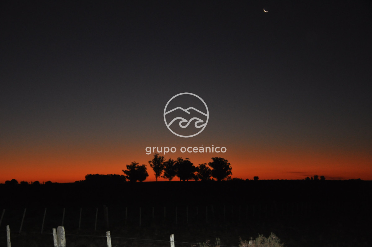 Campo Ref.4 - P 20673 Ruta 9 José Ignacio