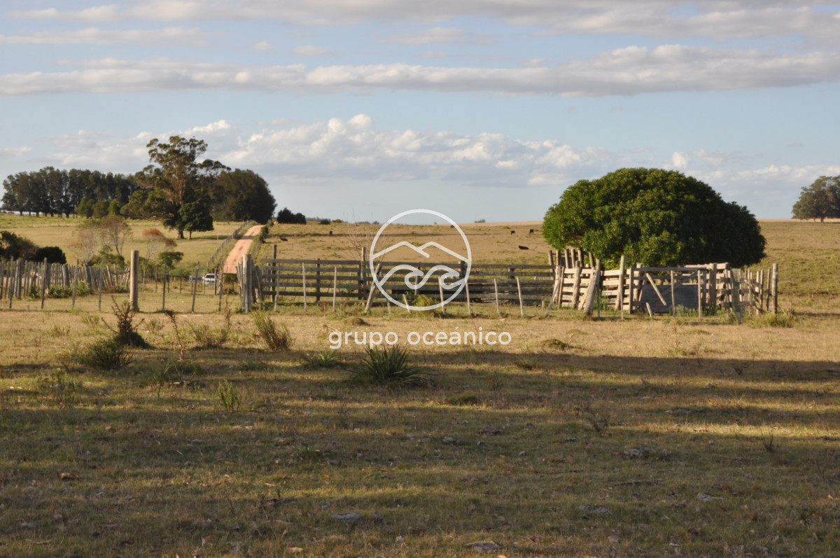 Campo Ref.41 - Campo a orillas de la Laguna de José Ignacio