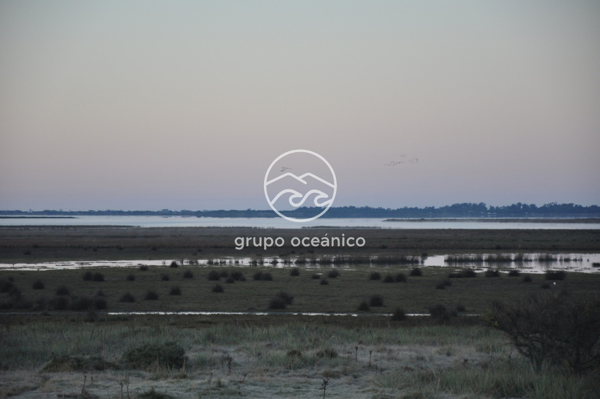 Campo Ref.88 - Campo 91 há sobre Laguna de José Ignacio