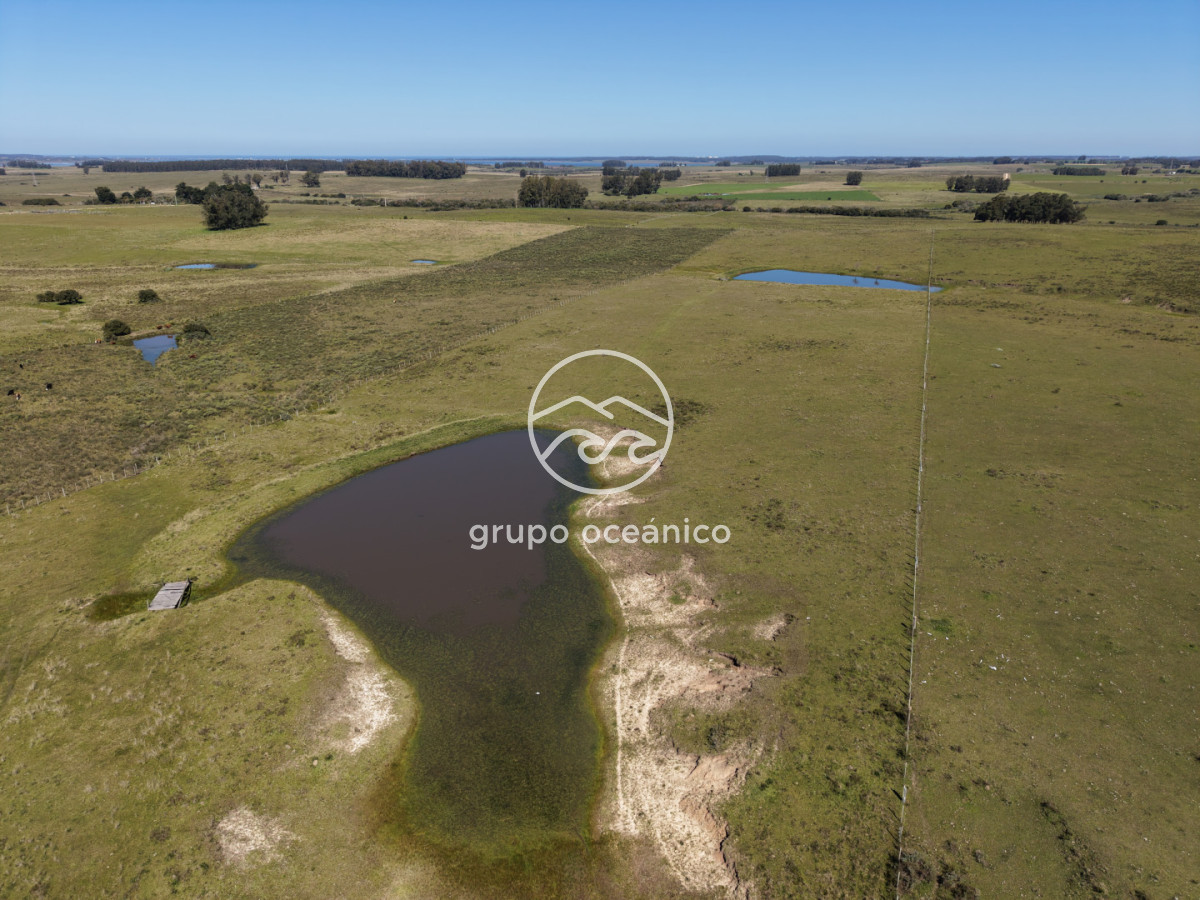 Campo Ref.56 - Campo 10 Há con acceso desde Ruta 9 Rincón de José Ignacio