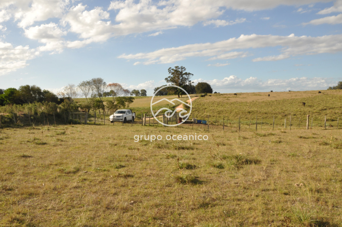 Campo Ref.41 - Campo a orillas de la Laguna de José Ignacio