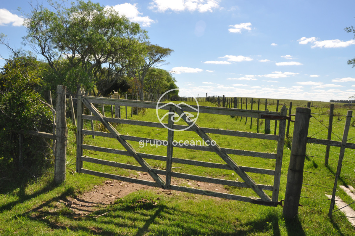 Campo Ref.53 - Campo Rocha Ruta 9 Km 196