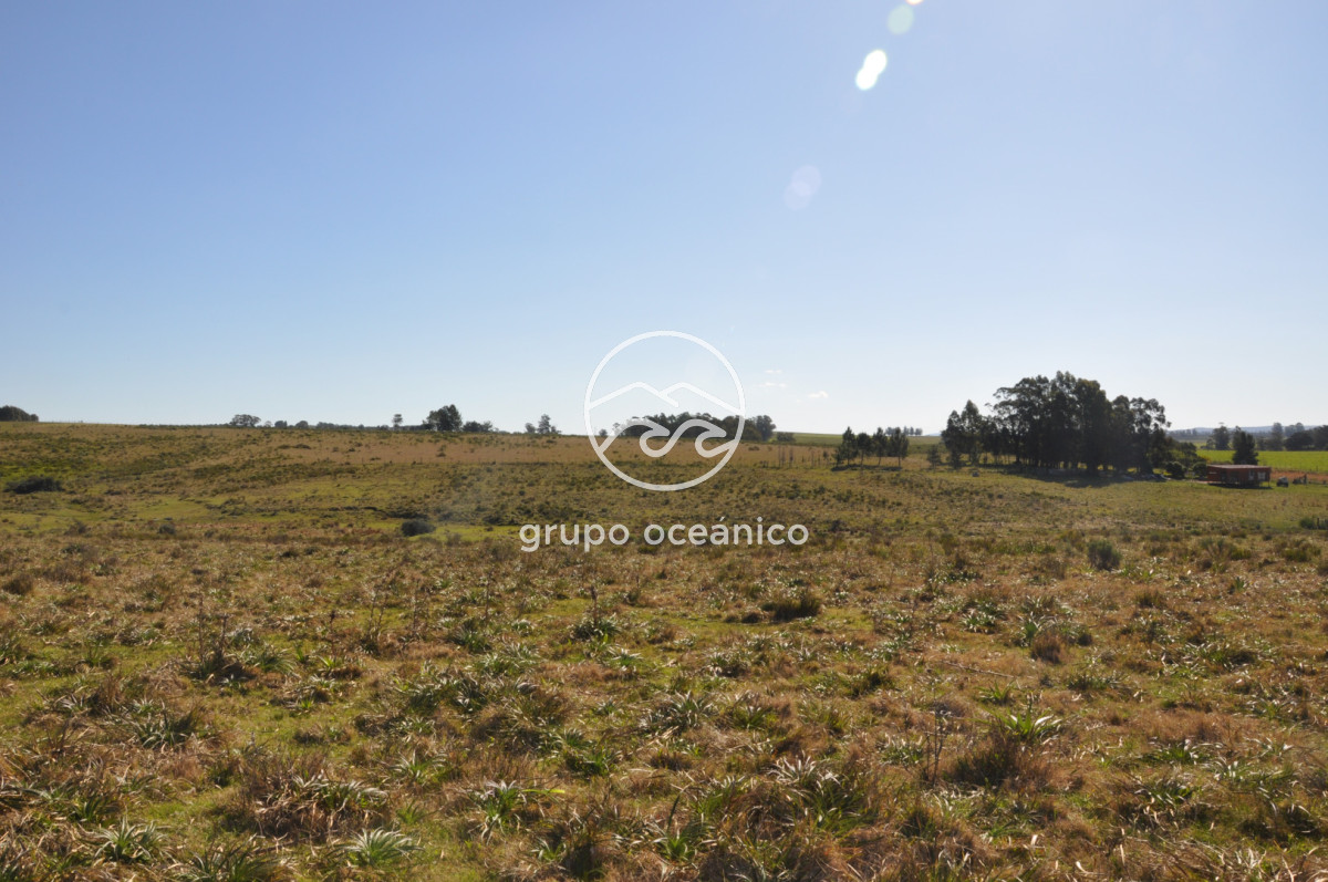 Campo Ref.81 - Campo Paso del Tigre con Cabaña