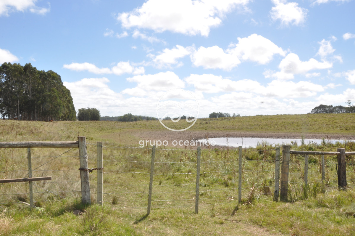Campo Ref.36 - Campo en Camino las Garzas y Ruta 9  360 Ha ideal para fraccionamiento de chacras