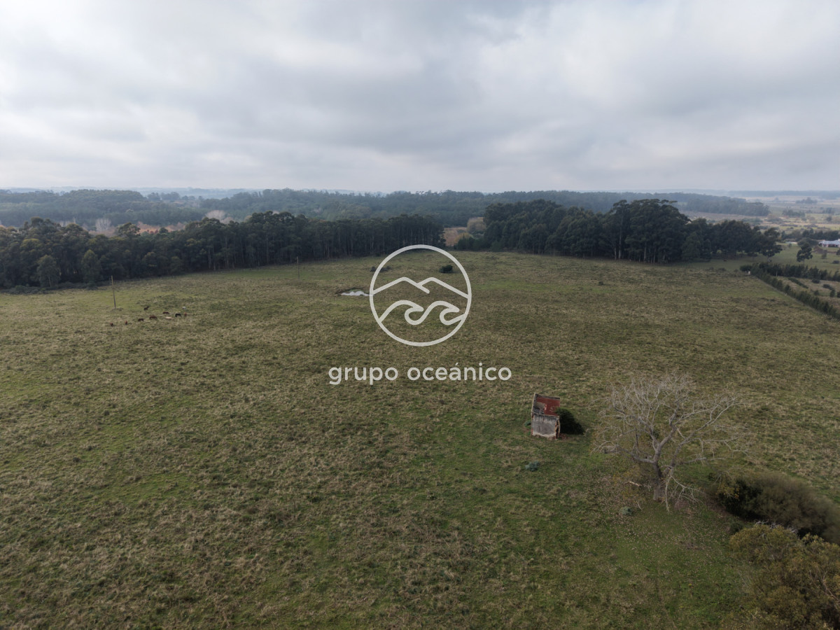 Campo Ref.63 - Campo sobre Ruta 104 a metros del MACA