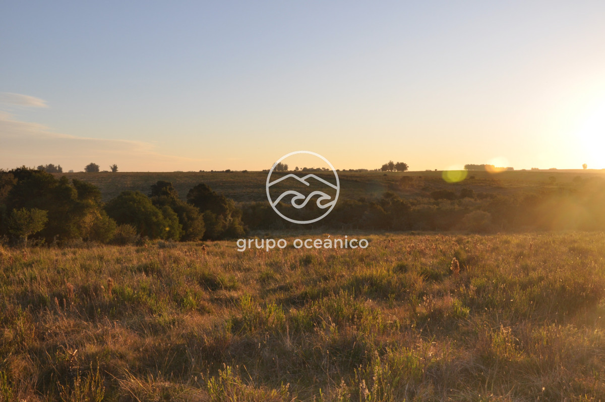 Campo Ref.4 - P 20673 Ruta 9 José Ignacio