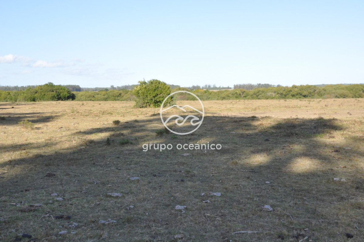 Campo Ref.49 - Campo 9,5 Há en paso de Tigre y Ruta 9