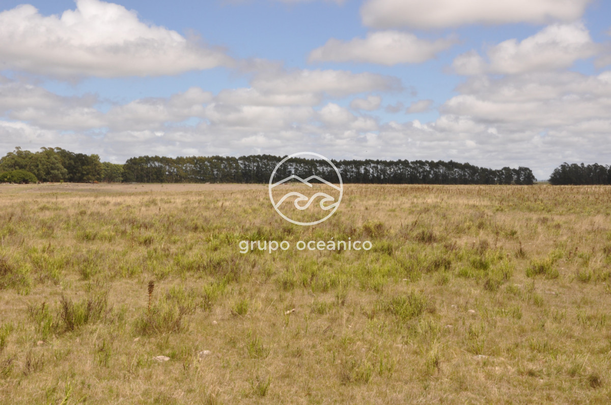 Campo Ref.36 - Campo en Camino las Garzas y Ruta 9  360 Ha ideal para fraccionamiento de chacras