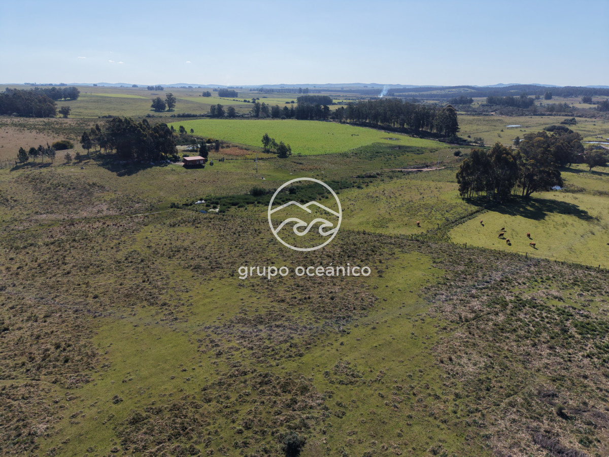 Campo Ref.81 - Campo Paso del Tigre con Cabaña