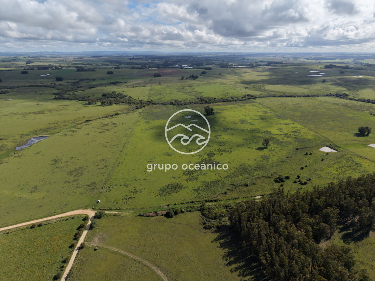Campo Ref.2 - Campo de 50 hectáreas en Rincón de José Ignacio