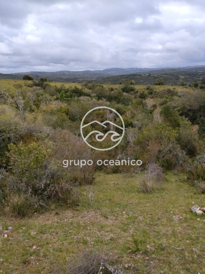 Campo Ref.92 - Campo 4 +3 há Paso de la Cantera 