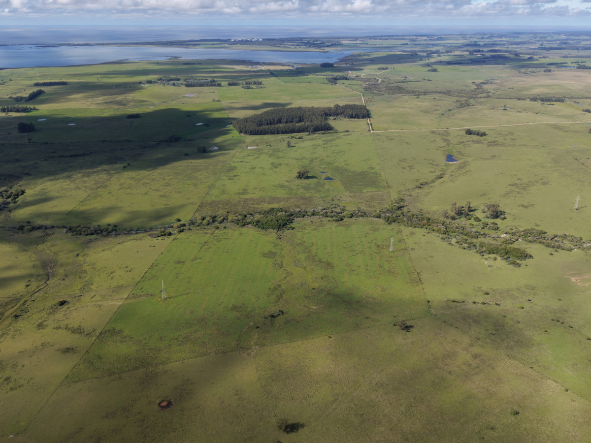 Campo de 50 hectáreas en Rincón de José Ignacio