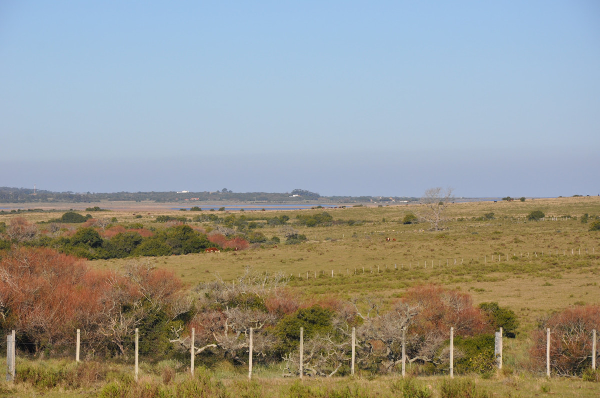 Campo de 50 hectáreas en Rincón de José Ignacio