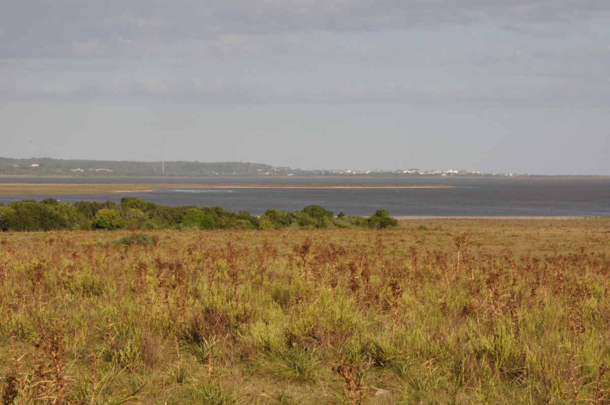 Campo a orillas de la Laguna de José Ignacio
