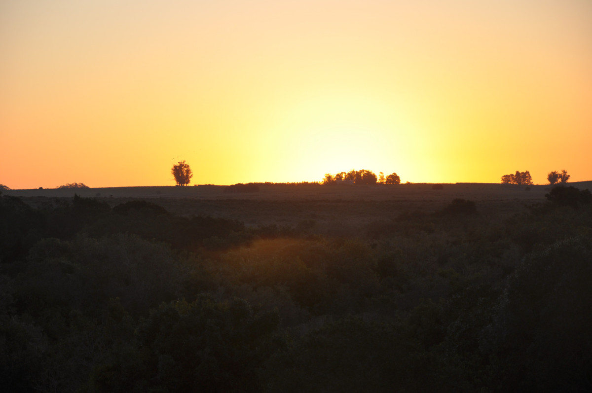 Campo en José Ignacio Ruta 9