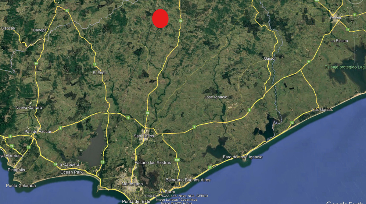 Campo 77 hectáreas en Ruta 39