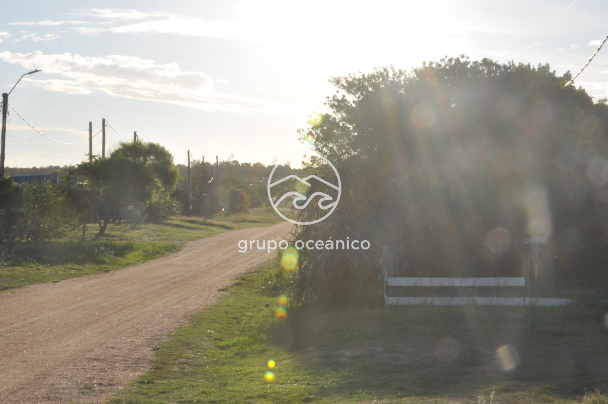 Local Comercial ID.43 - Local Comercial en Santa Mónica