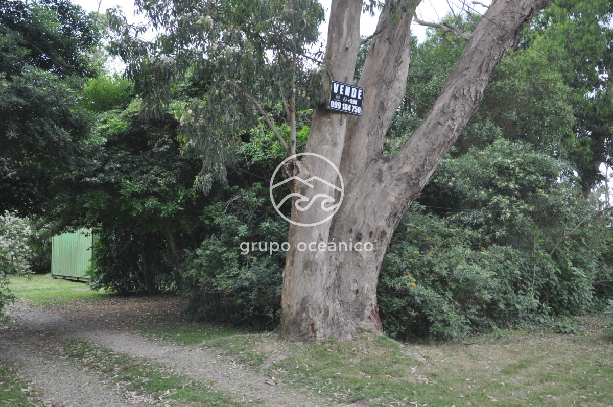 Terreno ID.6 - Terreno Balneario Buenos Aires a metros del mar 
