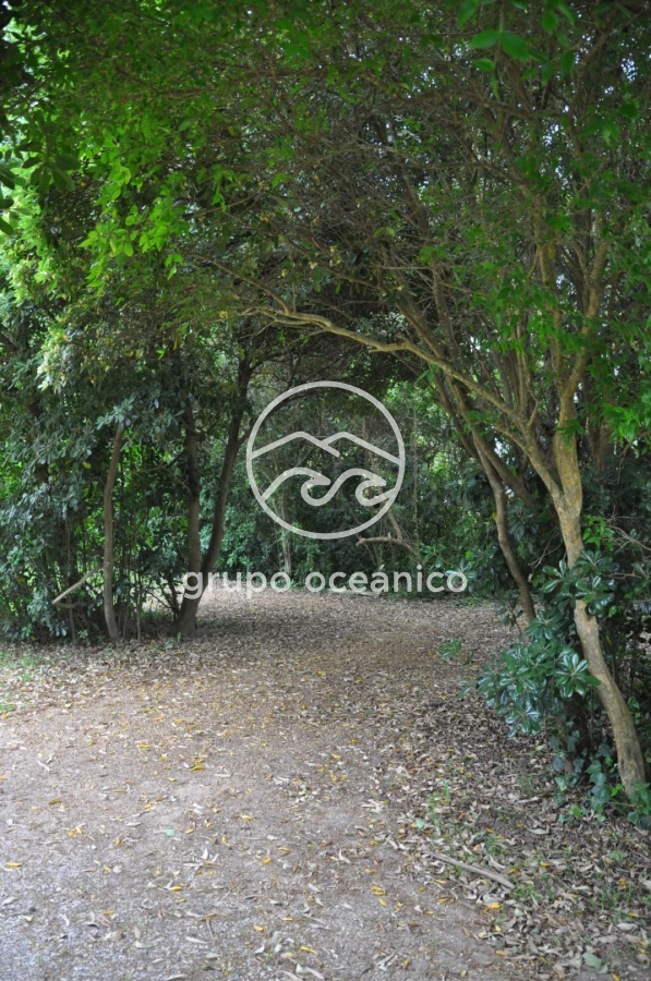 Terreno ID.6 - Terreno Balneario Buenos Aires a metros del mar 