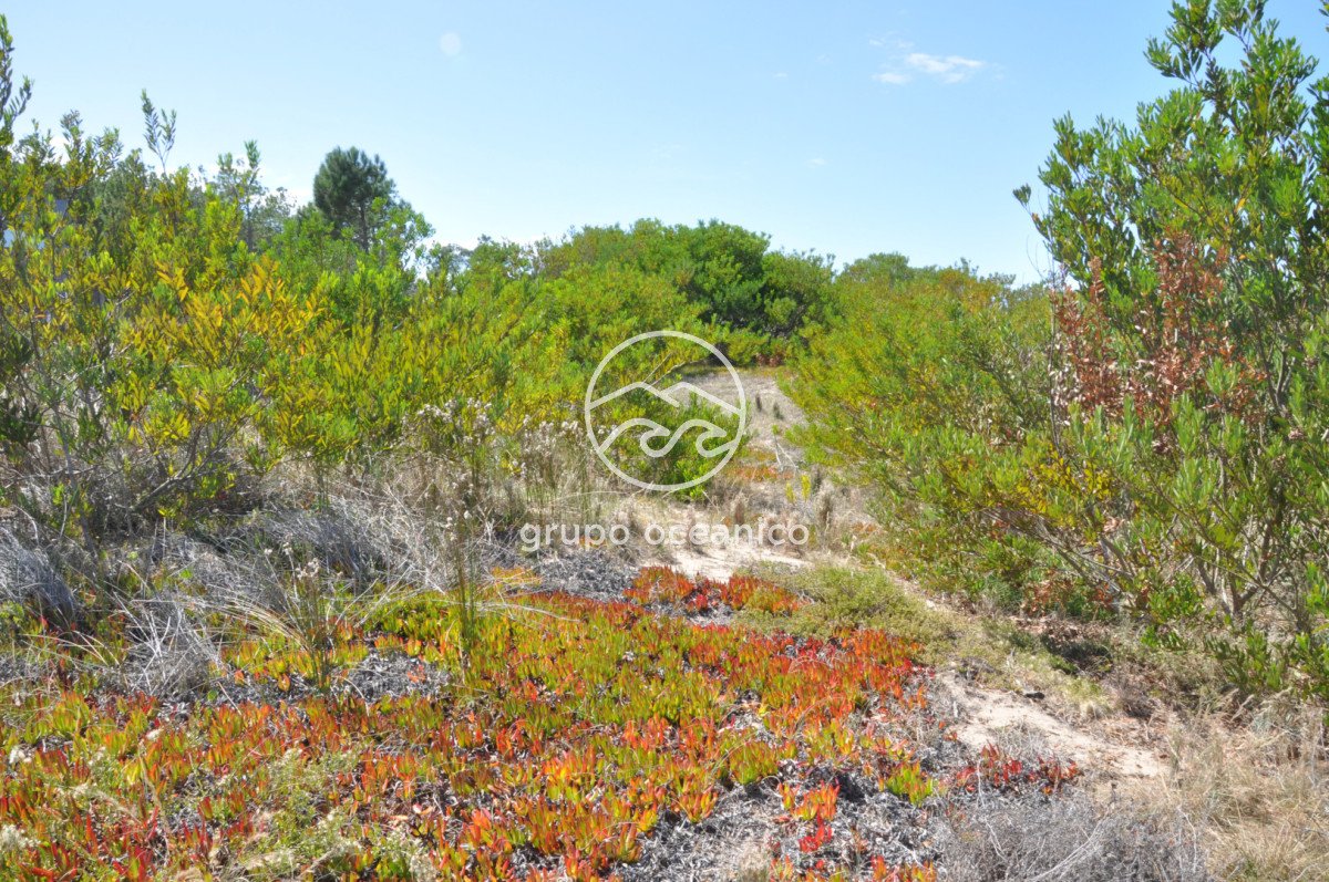 Terreno ID.51 - Terreno Arenas de José Ignacio con vista al mar