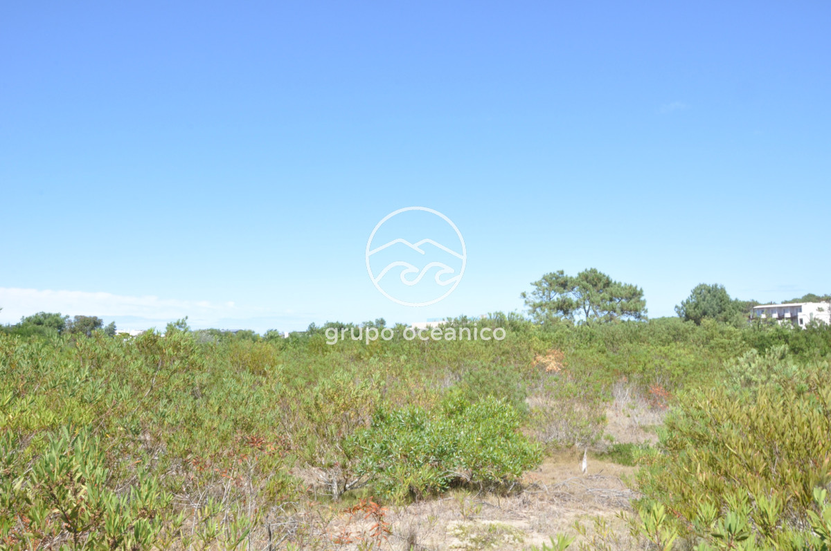 Terreno ID.51 - Terreno Arenas de José Ignacio con vista al mar