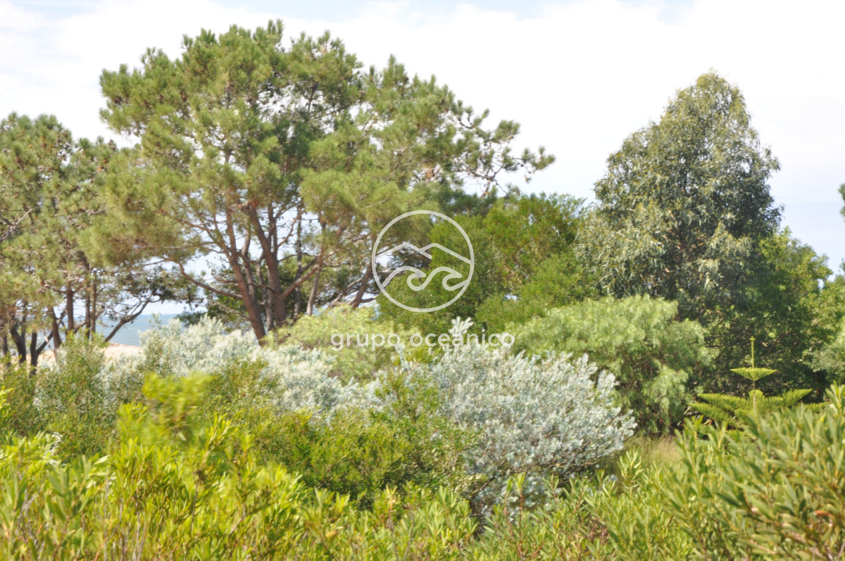 Terreno ID.51 - Terreno Arenas de José Ignacio con vista al mar