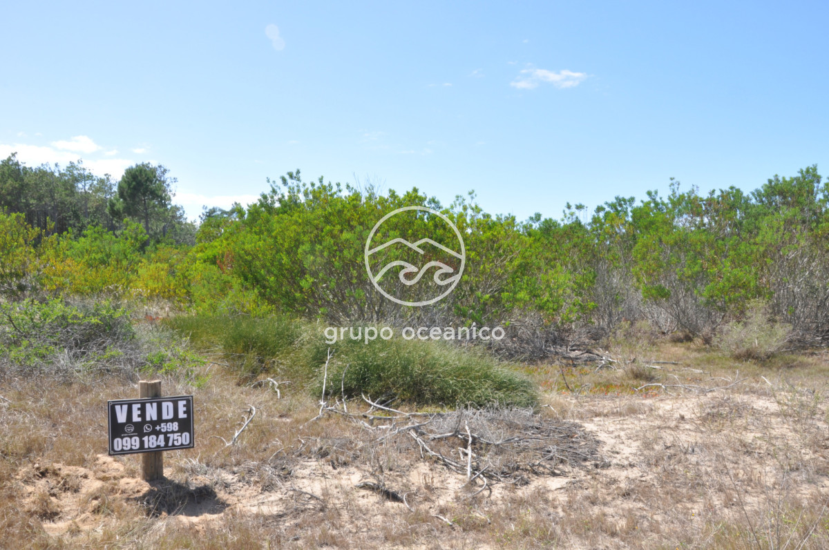 Terreno ID.51 - Terreno Arenas de José Ignacio con vista al mar