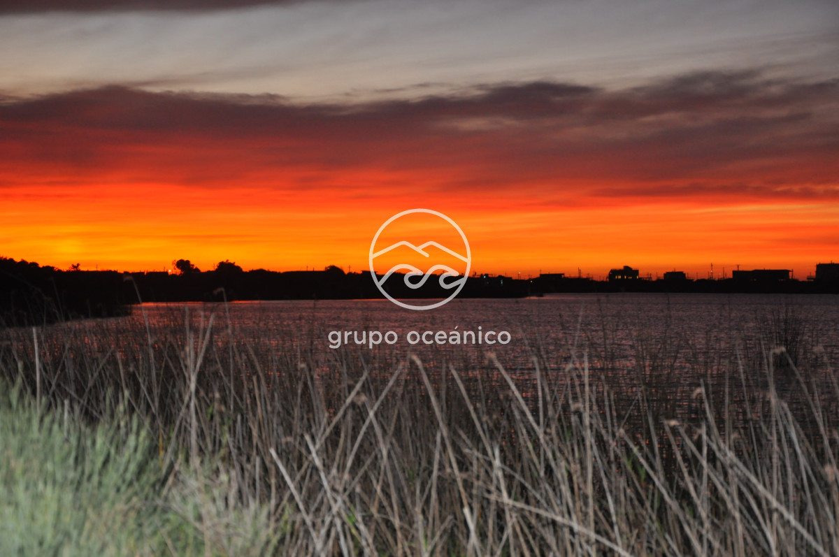 Terreno ID.1 - Venta Terreno en Santa Mónica primera línea a Laguna de los Flamencos Rosados