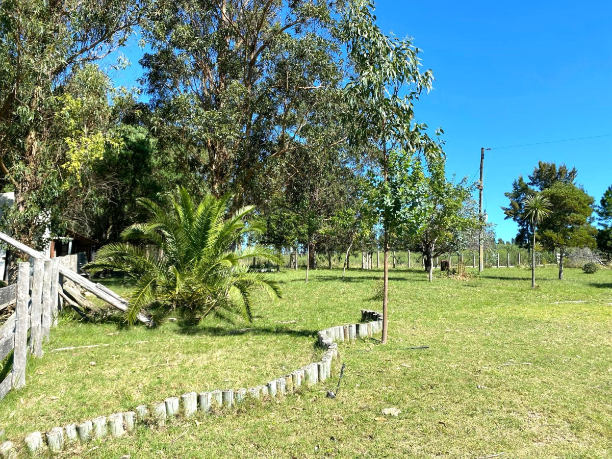 Campo Ref.4 - Campo en Venta de 31 Hectáreas Próximo a Garzón y José Ignacio   