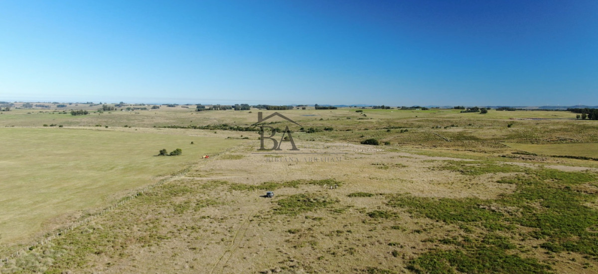 Campo Ref.4 - Campo en Venta de 31 Hectáreas Próximo a Garzón y José Ignacio   