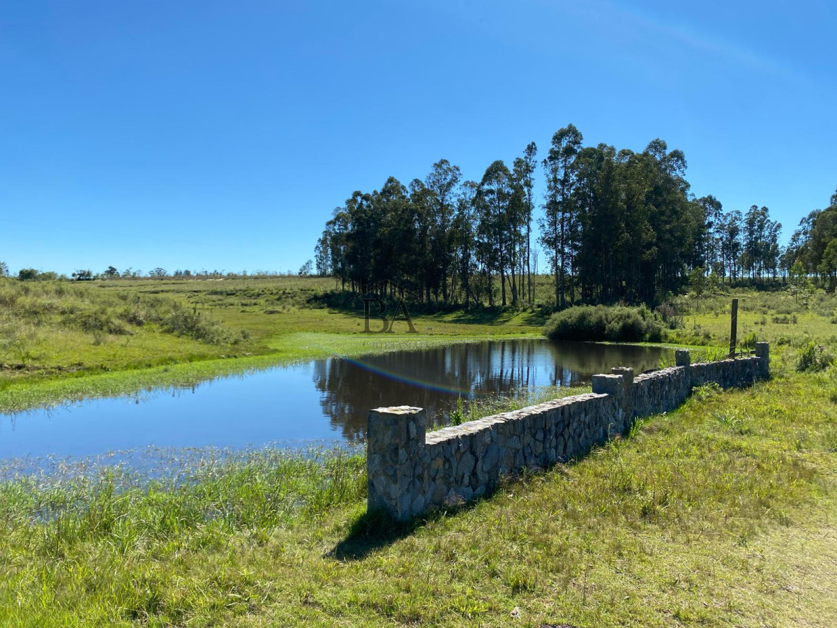Campo Ref.4 - Campo en Venta de 31 Hectáreas Próximo a Garzón y José Ignacio   